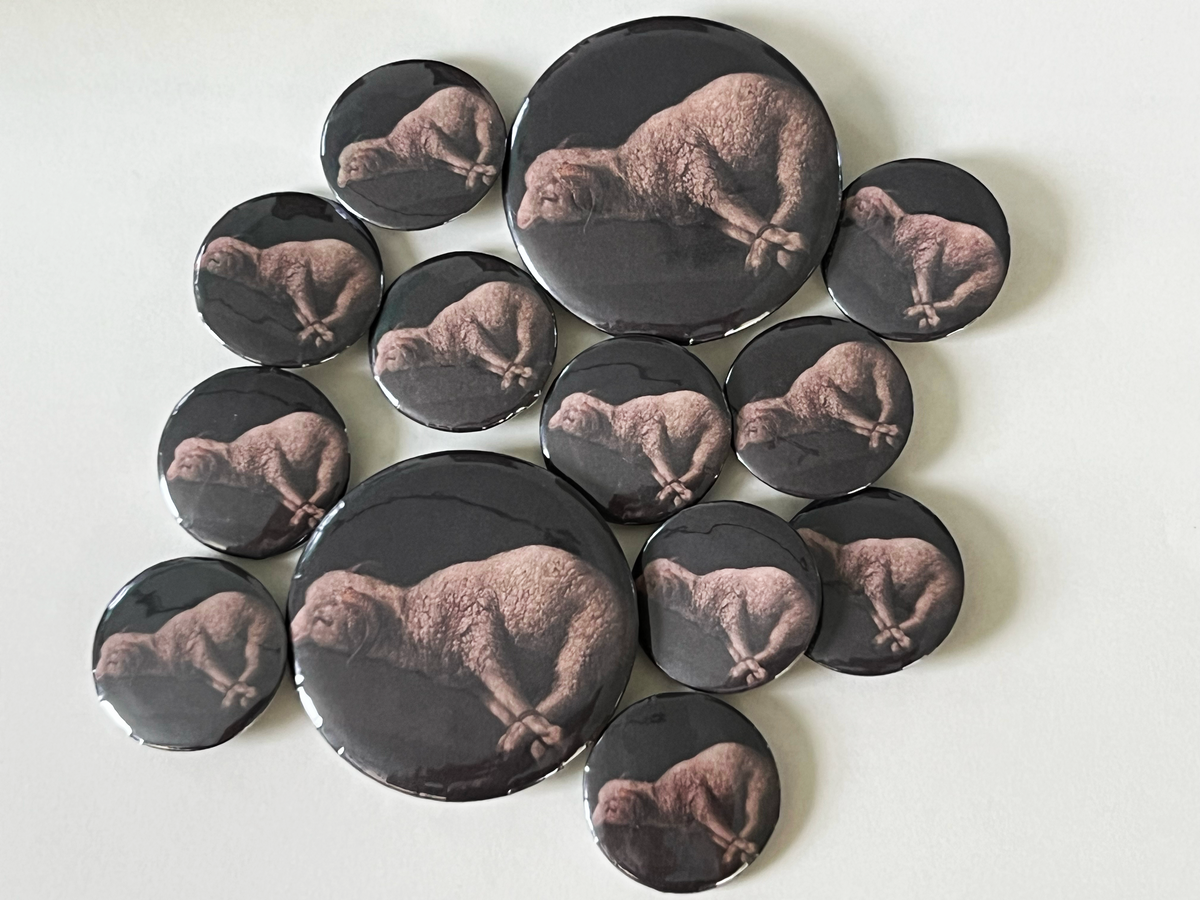 Agnus dei button